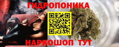 прущие крисы Будённовск